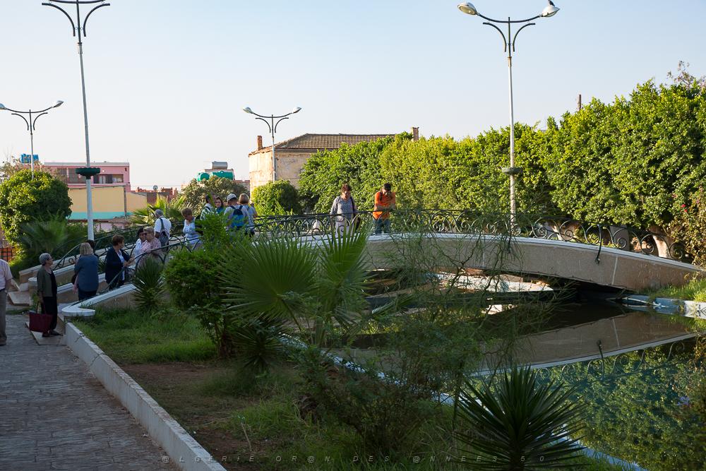 Oranie 2017-563.jpg